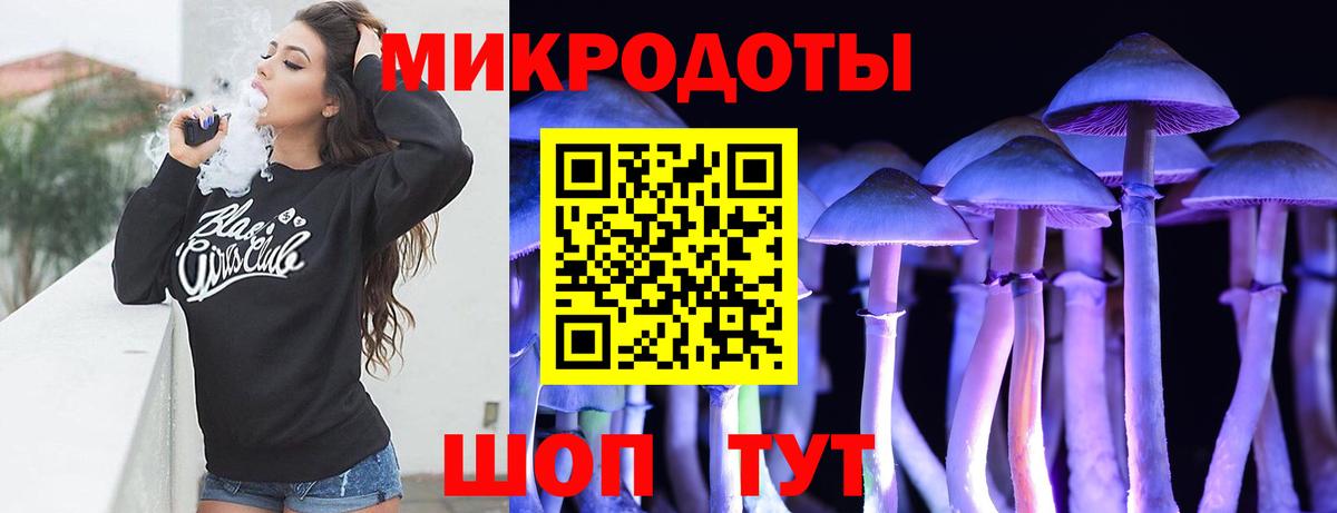 Псилоцибиновые грибы Psilocybine cubensis Конаково